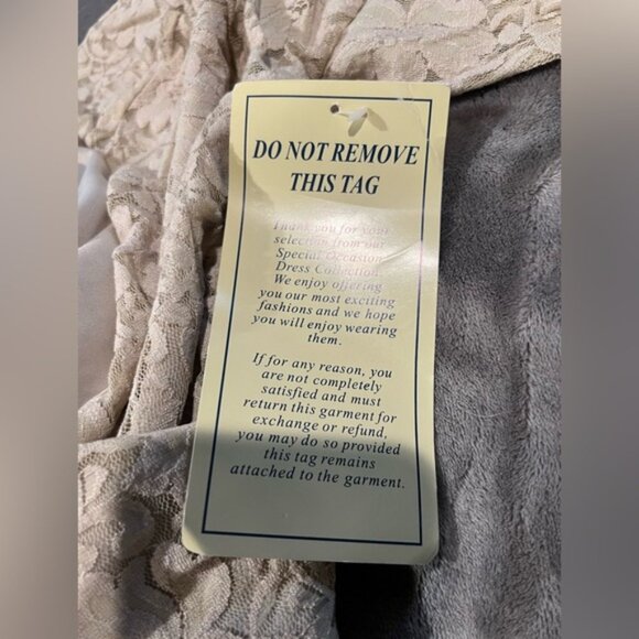 NWT Jessica, London Cream evening Lace Long Sleeve, dress Gown Size 14 - Picture 8 of 8